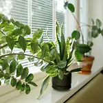 Maentylinnan Huoneistomajoitus Apartmán Mänttä