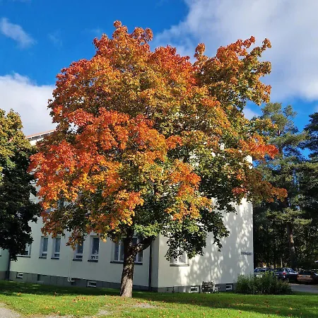 Maentylinnan Huoneistomajoitus Apartment Mänttä
