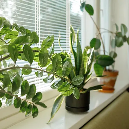 Maentylinnan Huoneistomajoitus Apartment Mänttä